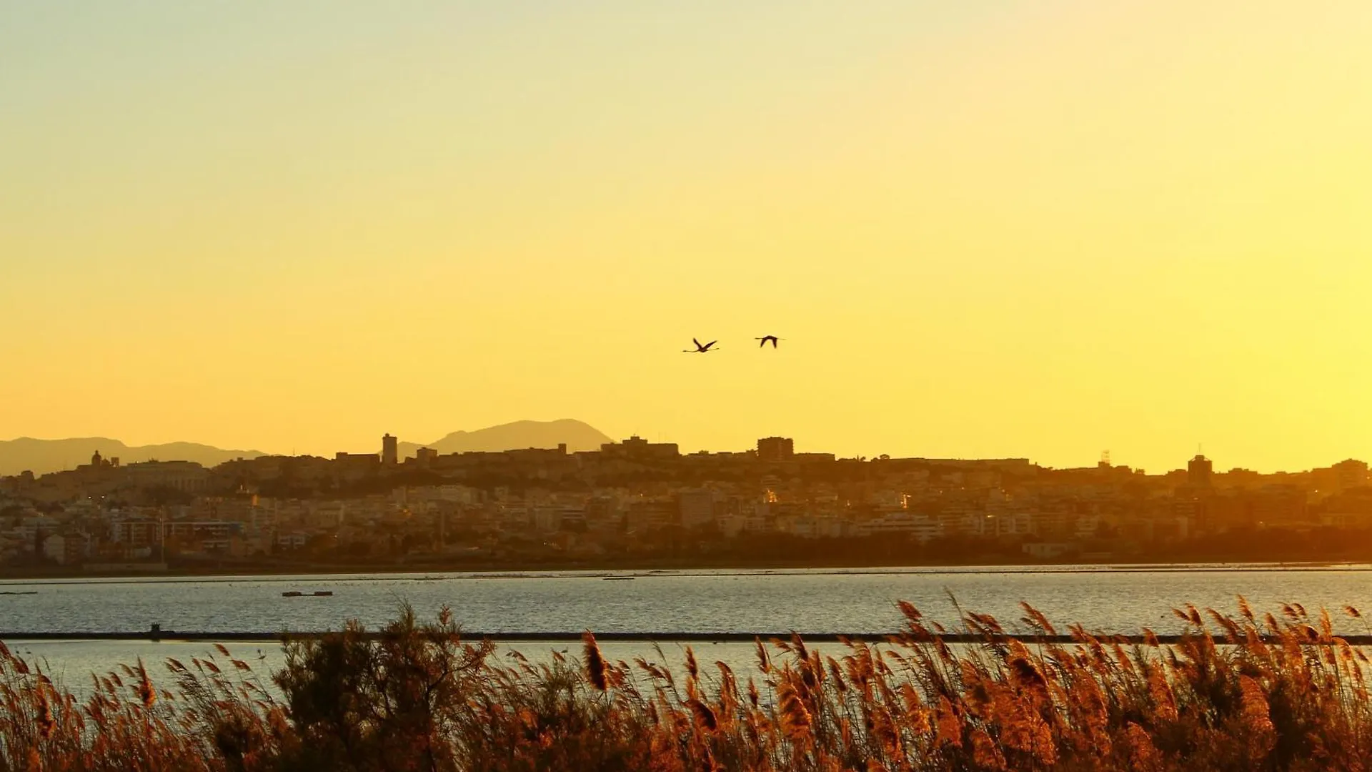 Elicriso Suites Yenne Cagliari